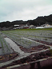 200811081221000